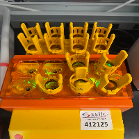 Miltenyi Biotec gentleMACS Octo Dissociator w/ Heaters image 3
